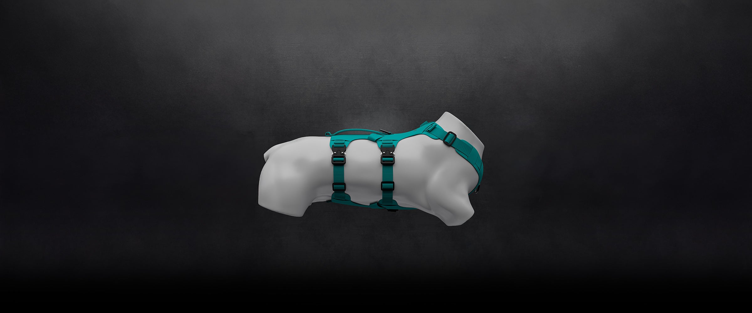 Rendering of a dog body wearing the Lander harness in Skeena Teal