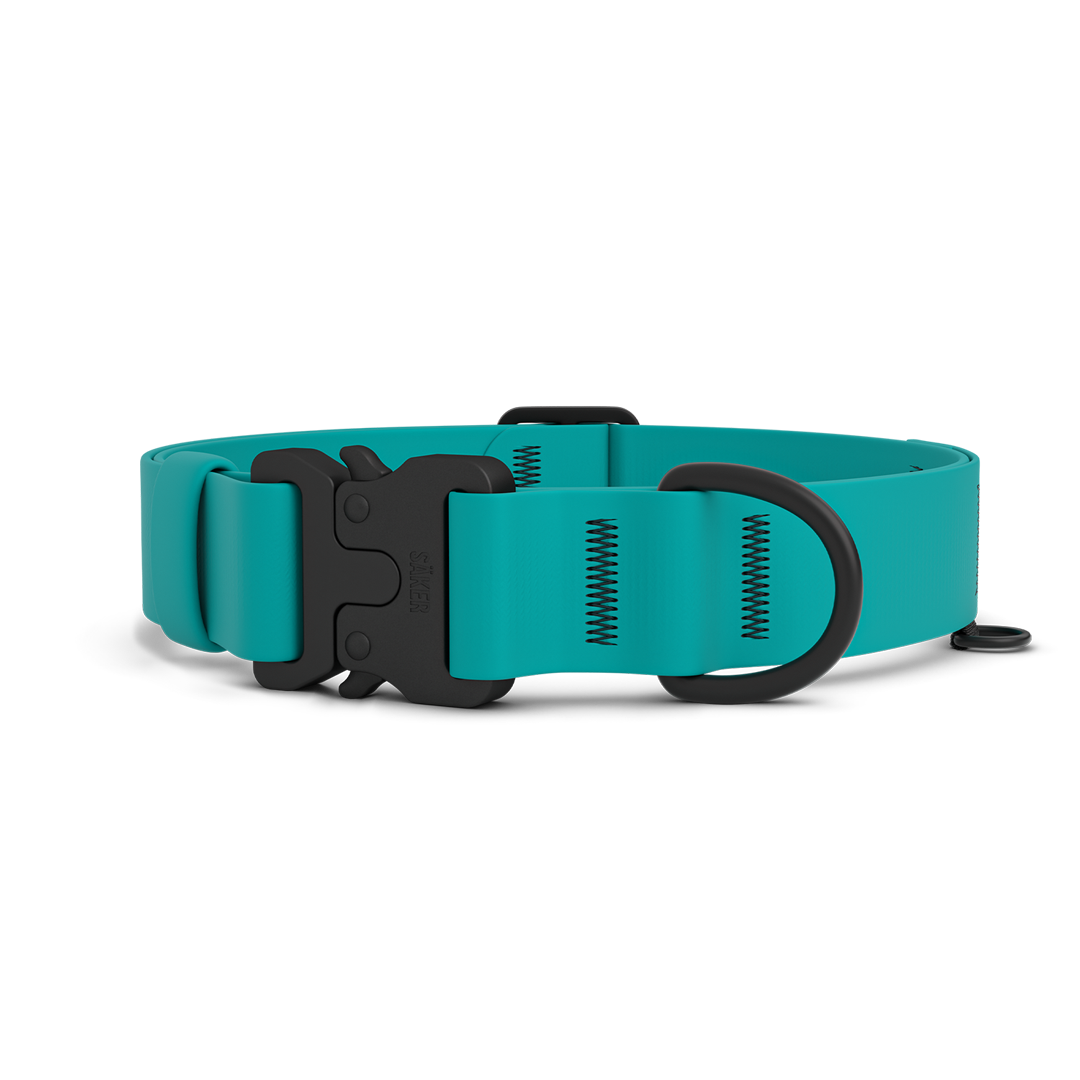 Main picture of the new Kelp collar with one slot male buckle in Skeena Teal