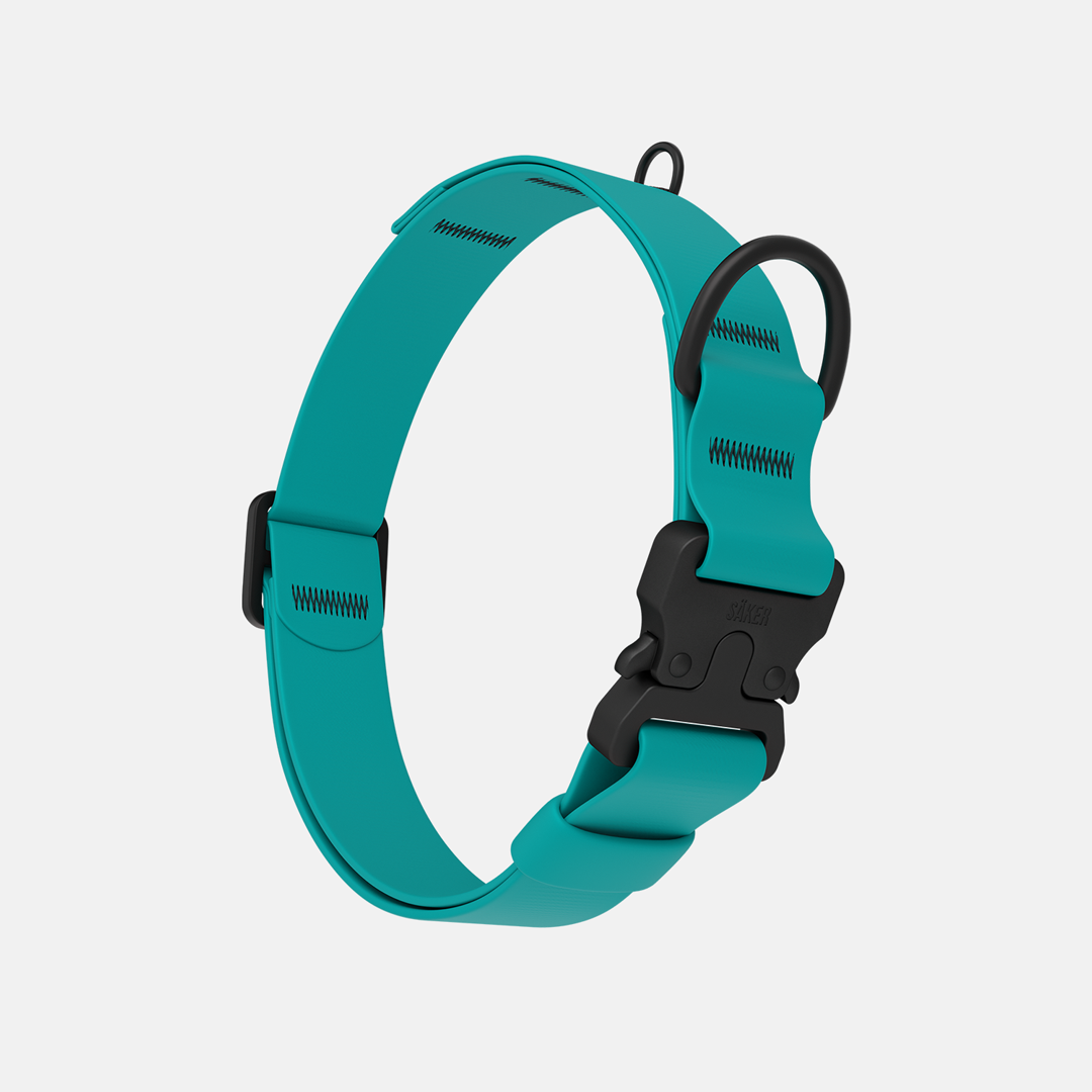 Vertical picture of the new Kelp collar with one slot male buckle in Skeena Teal