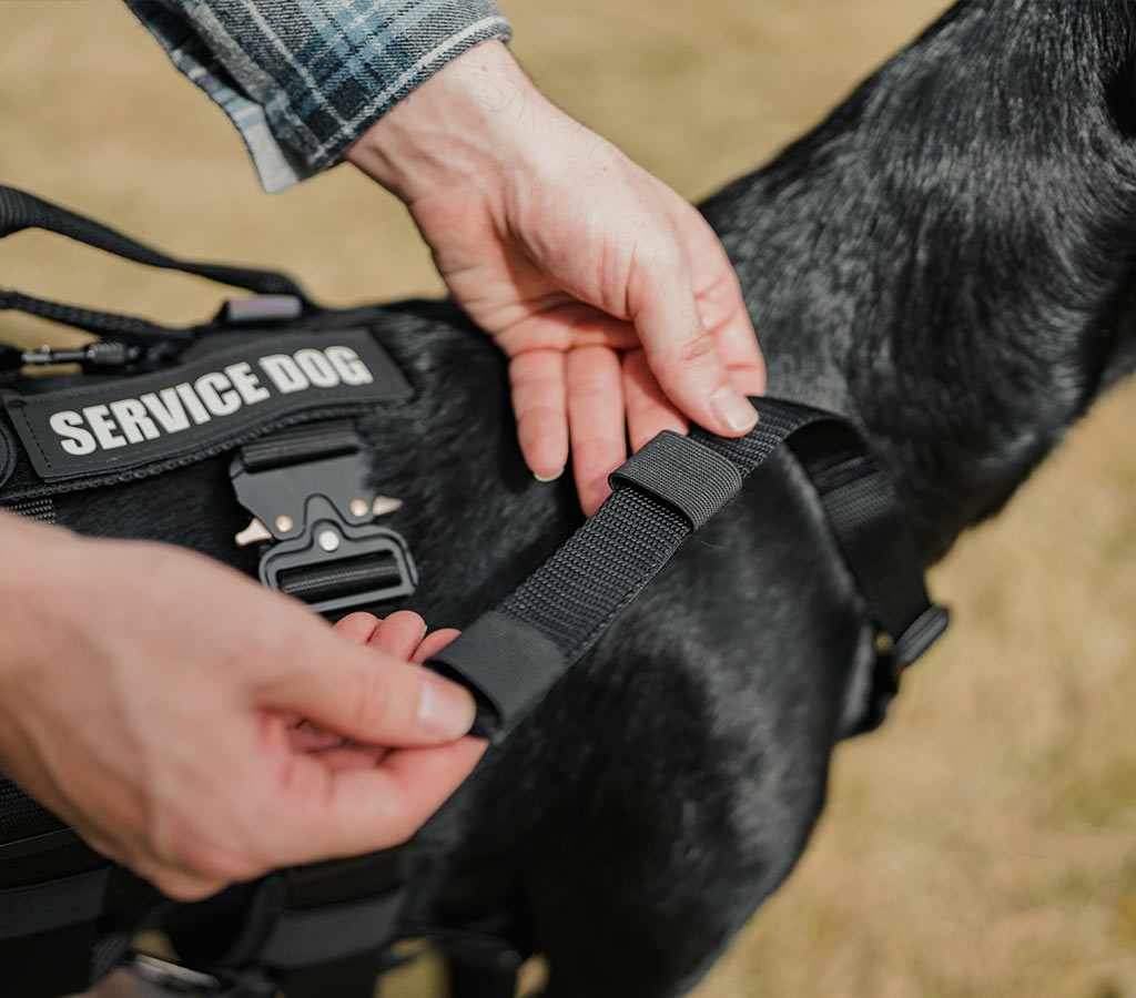 NEW* Leather Assistance Dog Harness with Velcro