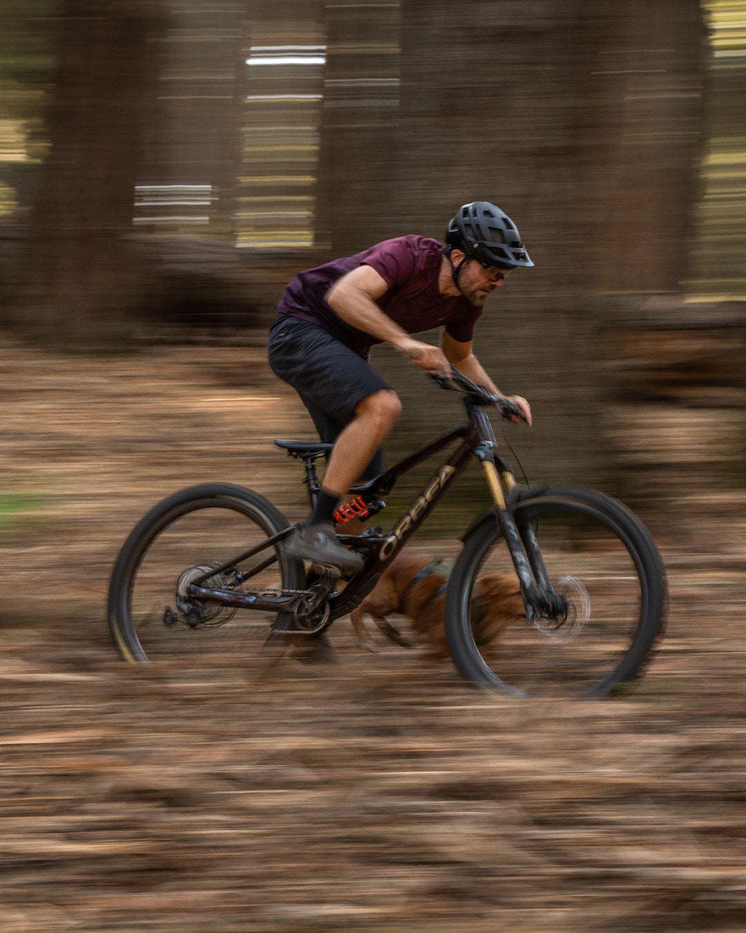 Blurry shoot of mountain biker, Zach, and his dog going down a trail. The dog is wearing the Saker Muse harness in Trail Green