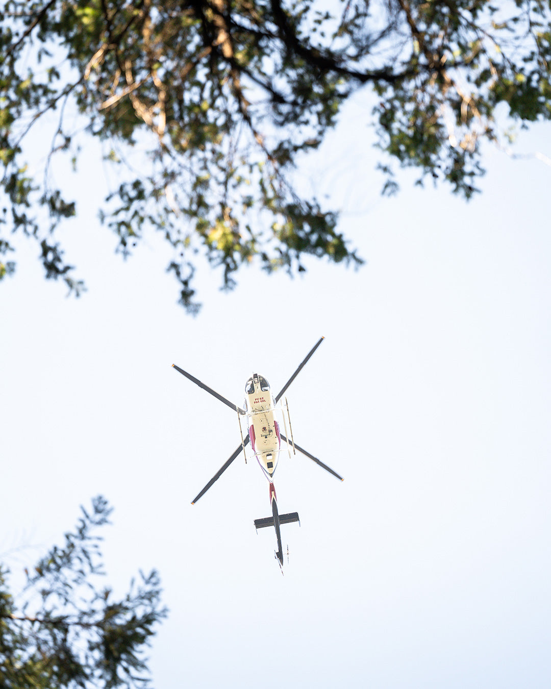 Bottom view of a helicopter that flew over the Saker photoshoot