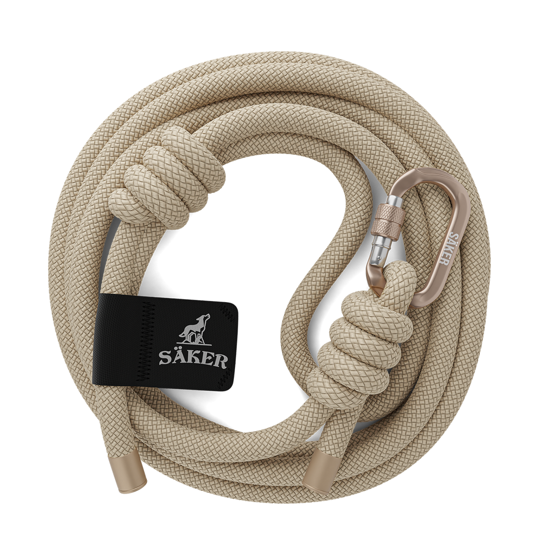 Top view of the Trust™ leash in Color of the Trails