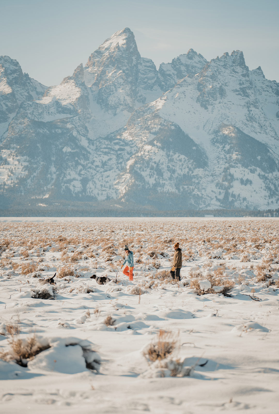 couple walking their dogs next to grand teton national park in winter