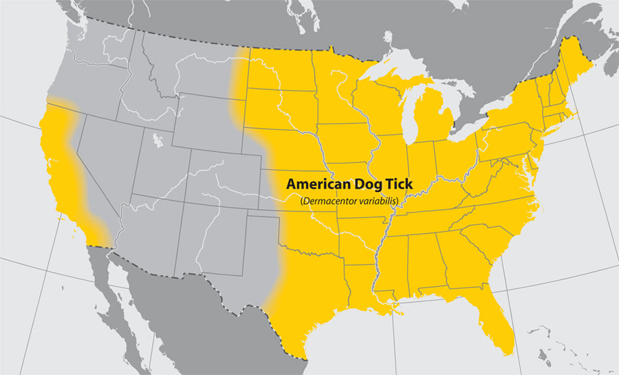 Map of where the American dog tick can be found