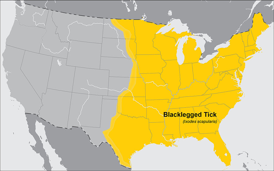 map of the US where the blacklegged tick is usually found