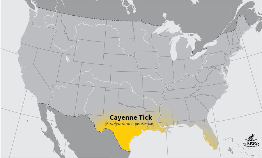 map of the us showing where cayenne ticks can be found