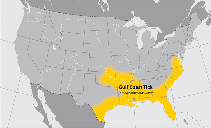 Map of the us showing where the gulf coast tick can be found