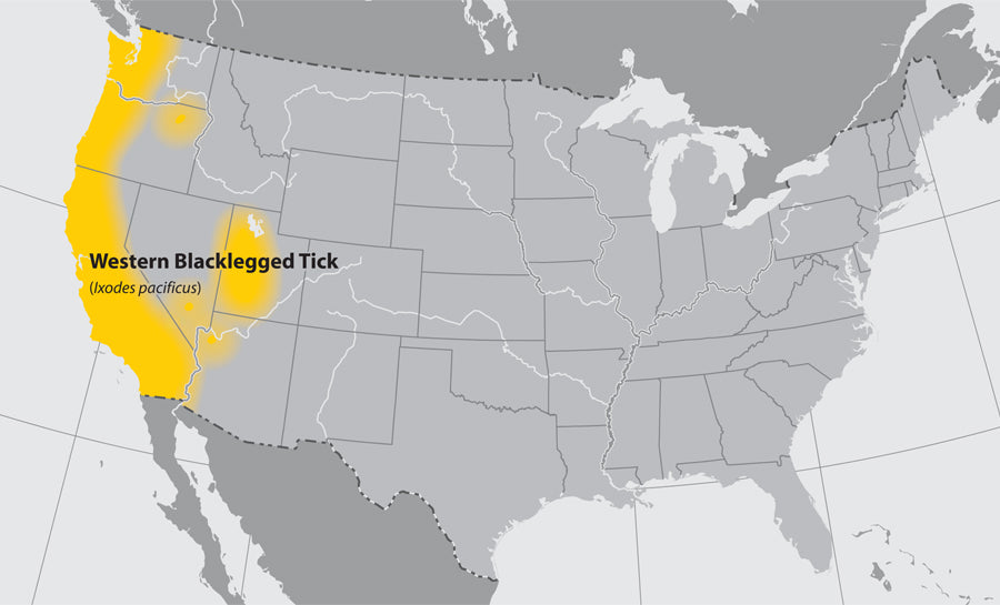 Map of the US where the western-blacklegged ticks can be found