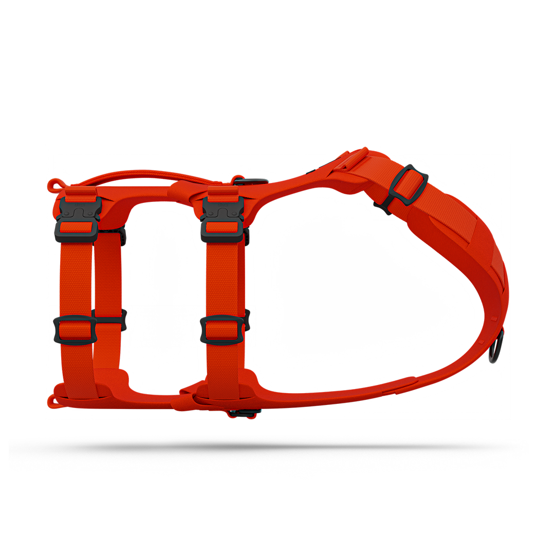 Side view of the Muse™ harness in Alpine Orange color