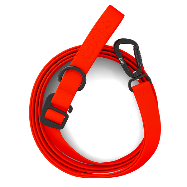 Top view of the Kelp™ leash in Alpine Orange