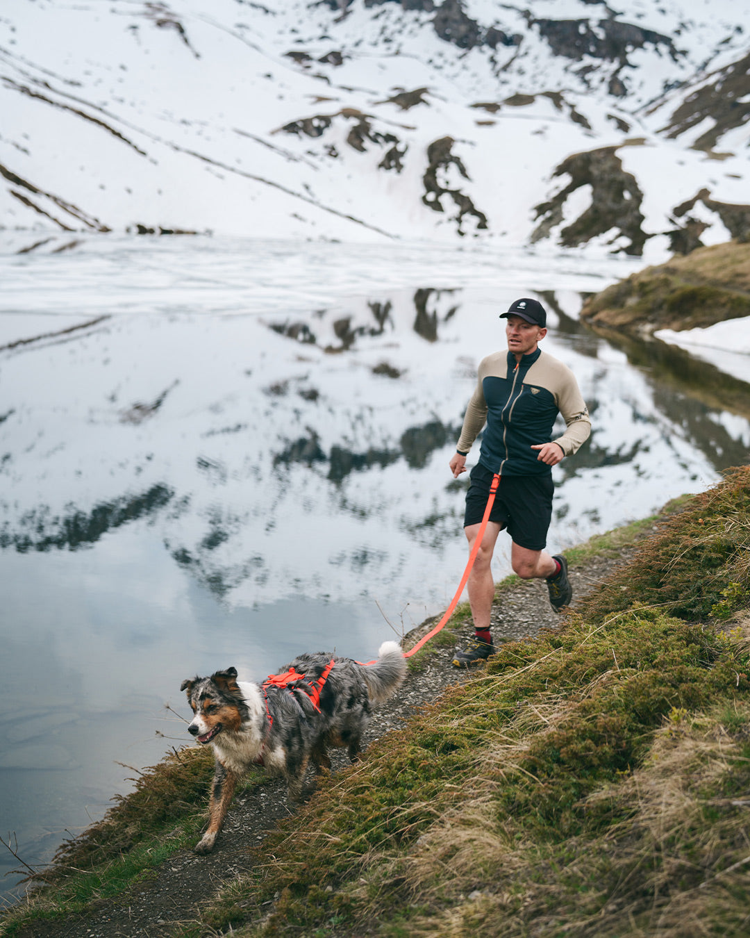 Man running in the Alps with his dog wearing the Lander harness with Traction 001 and Kelp leash, all in Alpine Orange
