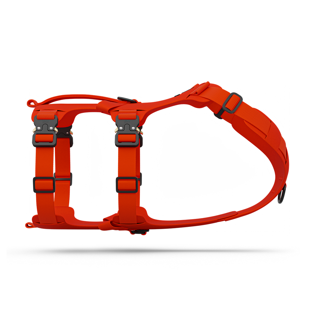 Side picture of the Bomber harness in Alpine Orange