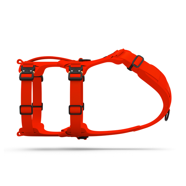 Side view of the Bomber harness in Alpine Orange color
