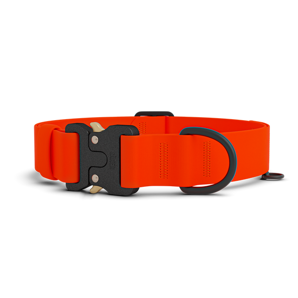 Kelp™ Collar Pro