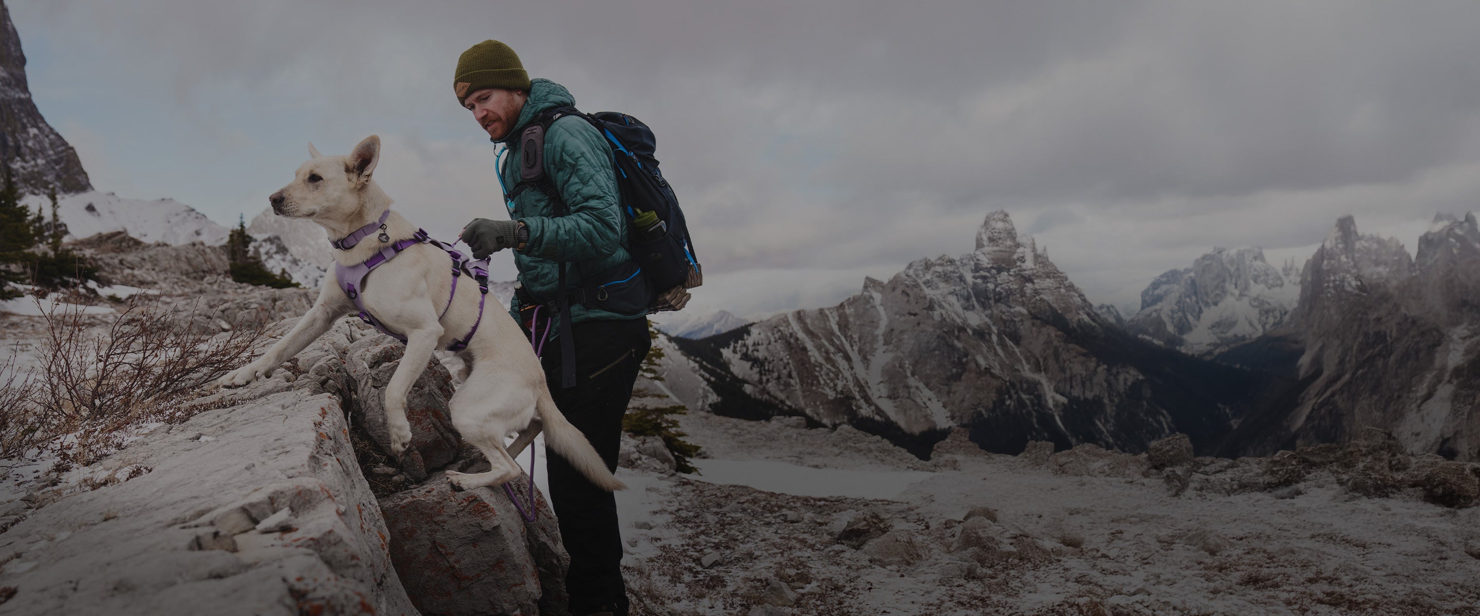 Man lifting his dog over a boulder using the Lilas Muse harness from Saker