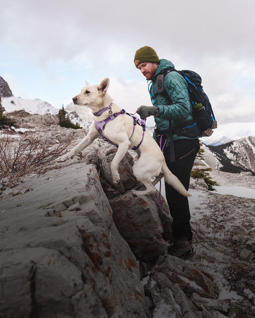 Man lifting his dog over a boulder using the Lilas Muse harness from Saker