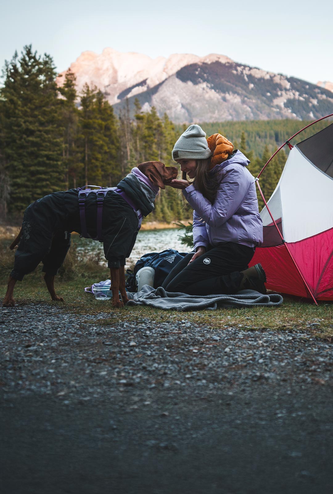 Woman kissing her vizsla in banff national park. her dog is wearing the Muse harness in Lilas color.