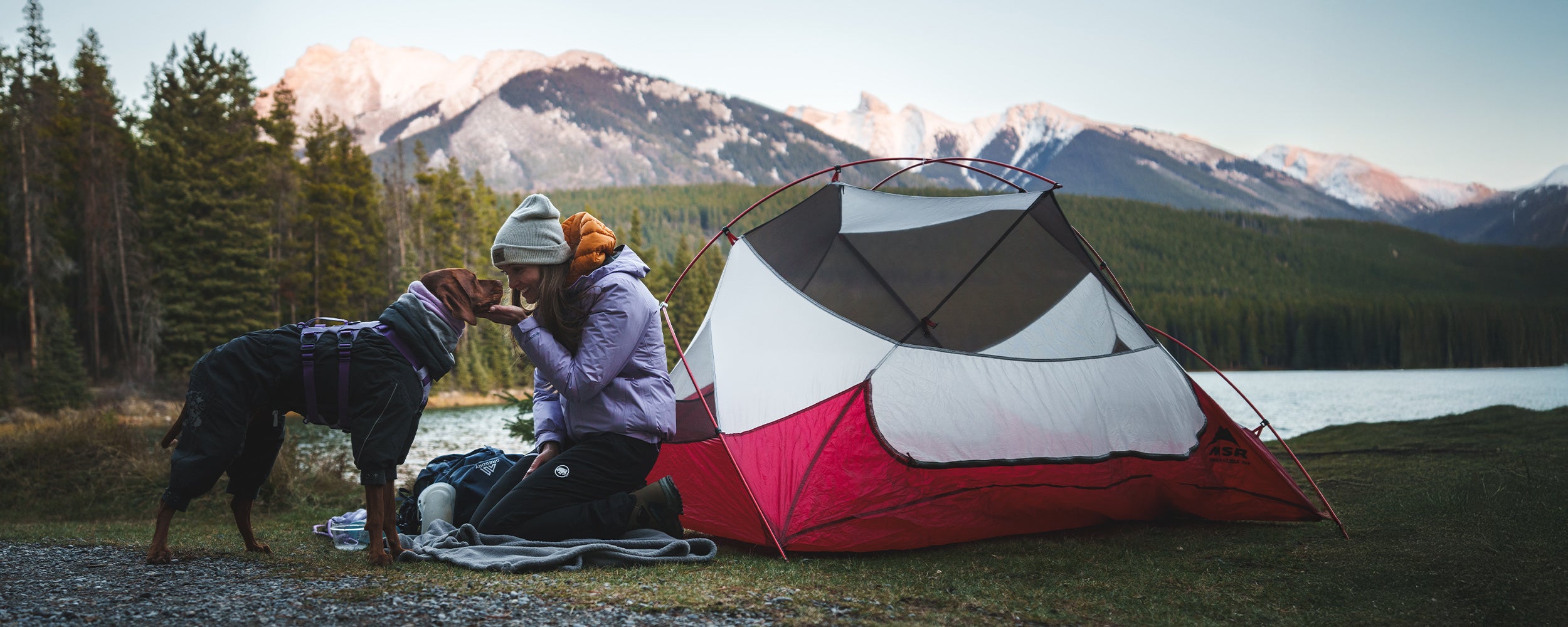 Woman kissing her vizsla in banff national park. her dog is wearing the Muse harness in Lilas color.