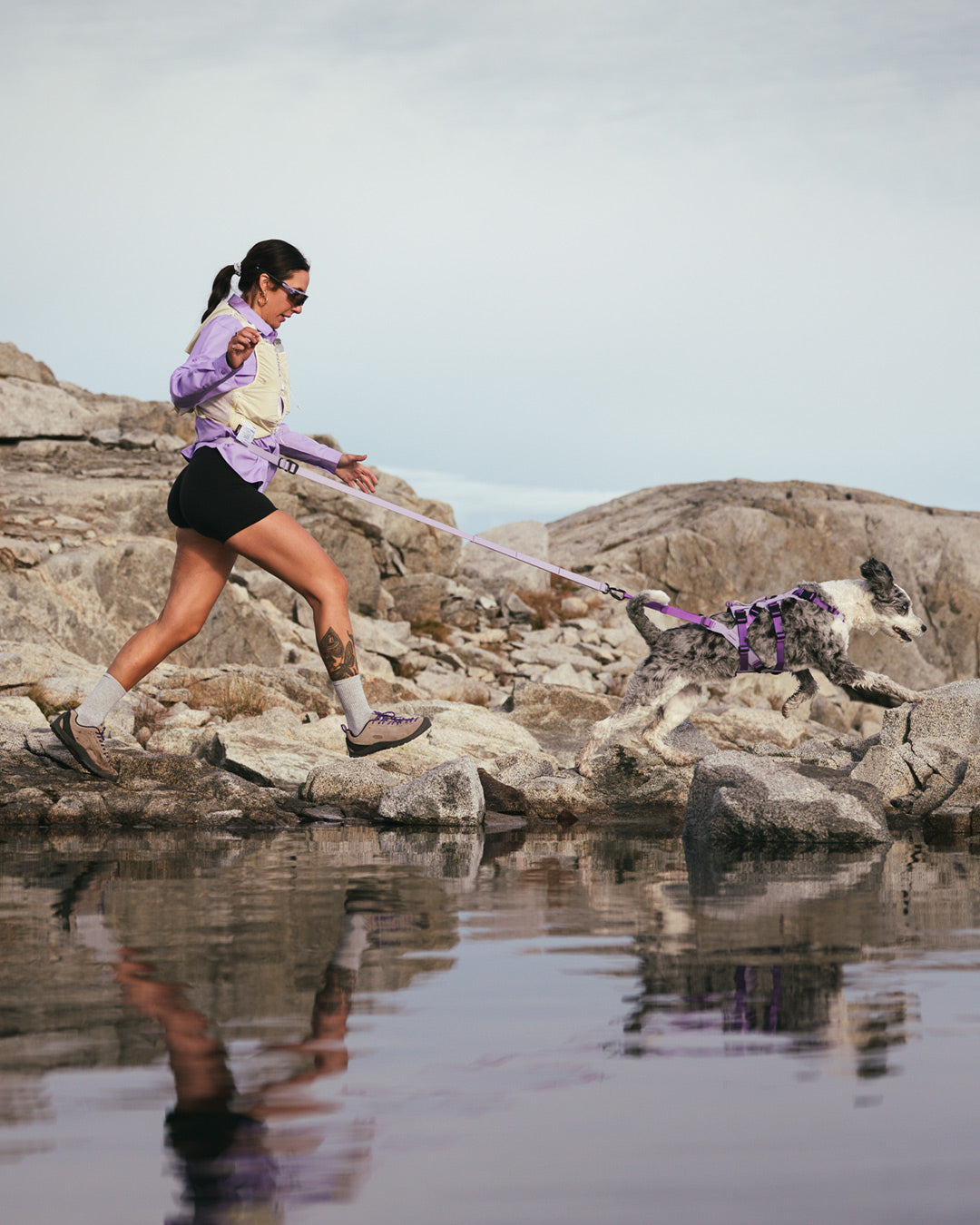 Power-hike with dog wearing Muse harness and traction attachment from Säker.