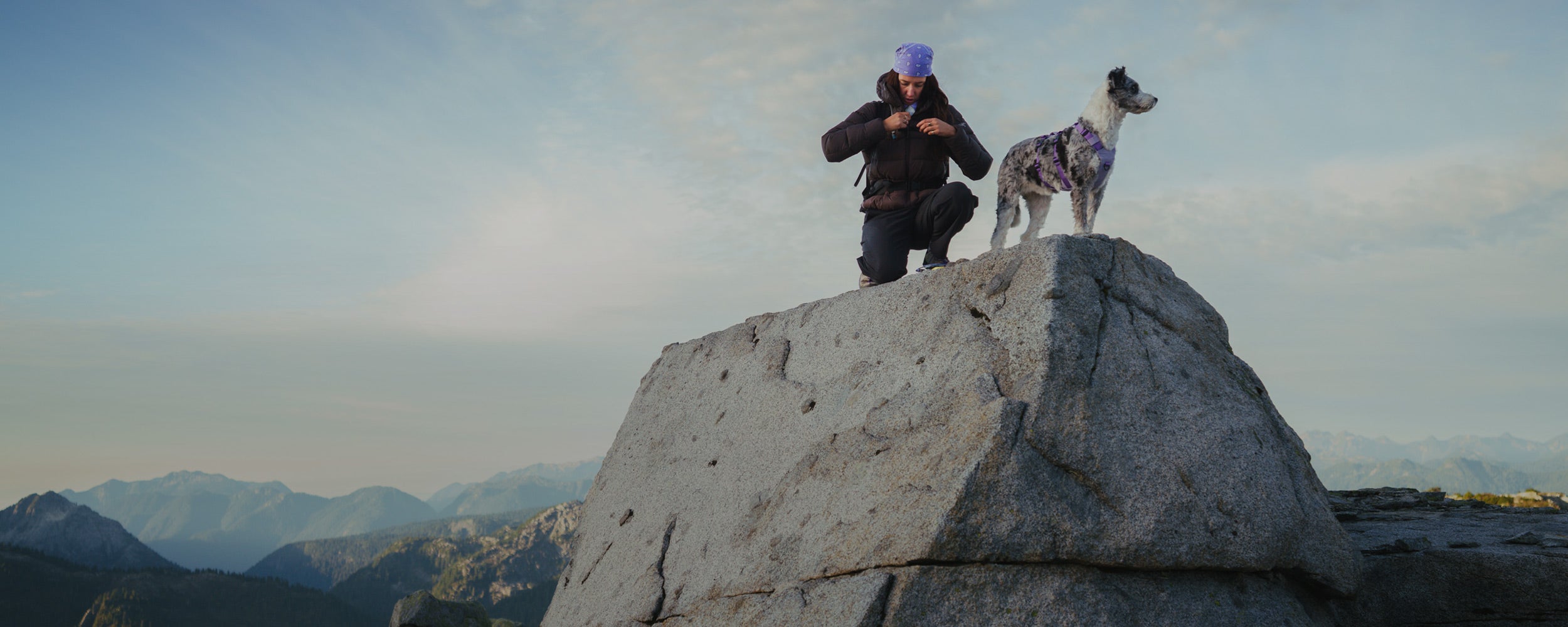 Dog standing on top of boulder wearing the Muse harness in Lilas