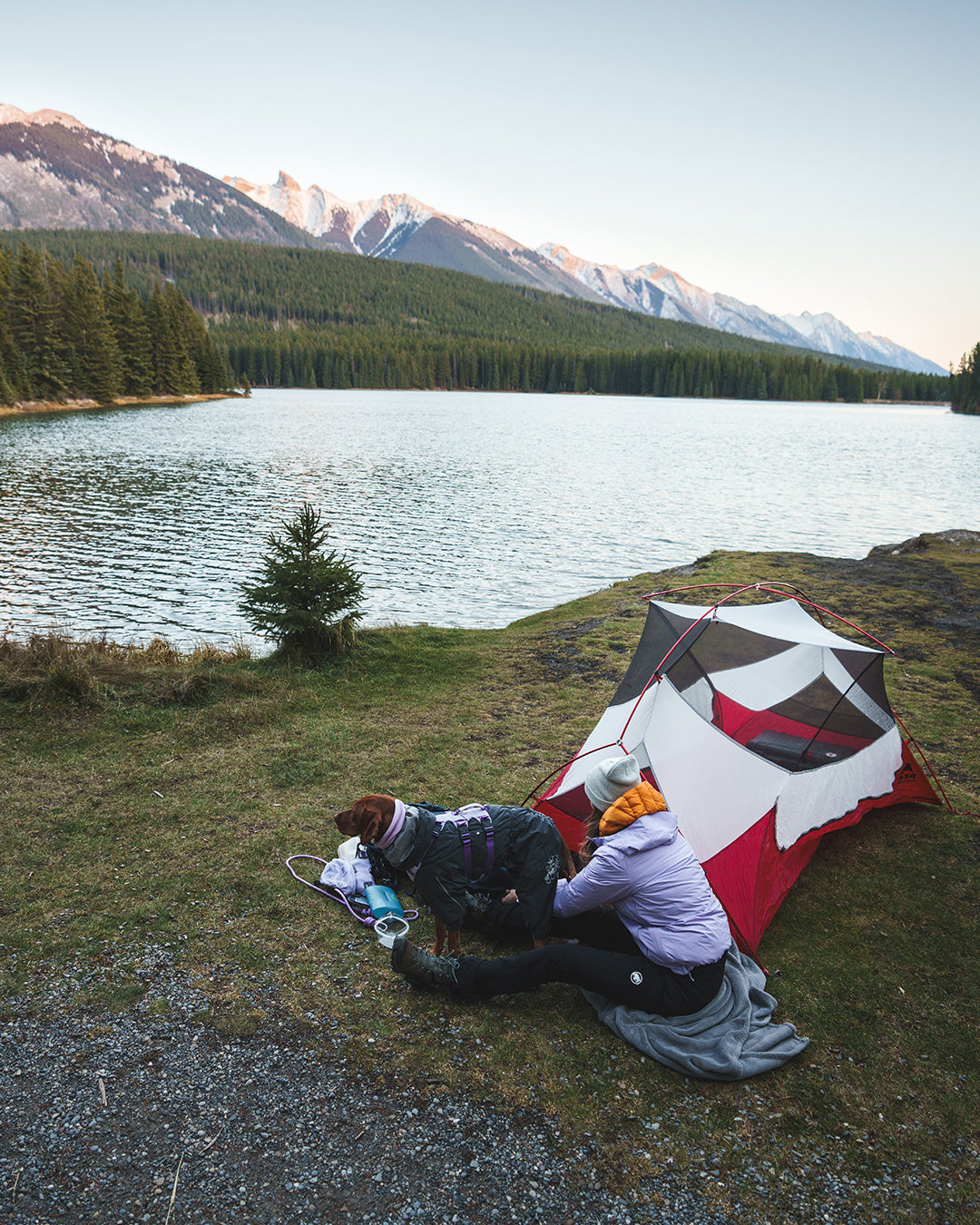 Top view of a campsite in the canadian rockies. Woman sitting with her Vizsla. Her dog is wearing the Säker Muse harness in Lilas