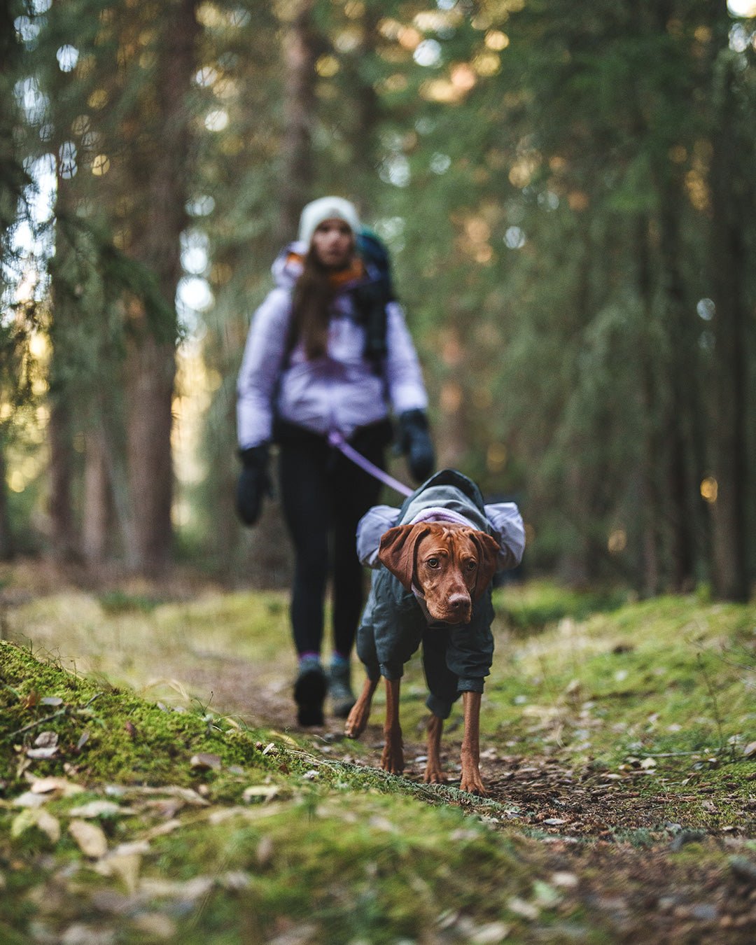 Woman hiking with her vizsla in the trails. Her vizsla is wearing the Muse harness in Lilas with the Pouches 001 accessory.