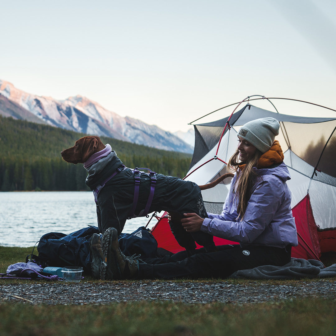 Woman petting her vizsla in Banff national park wearing the Muse harness in Lilas color