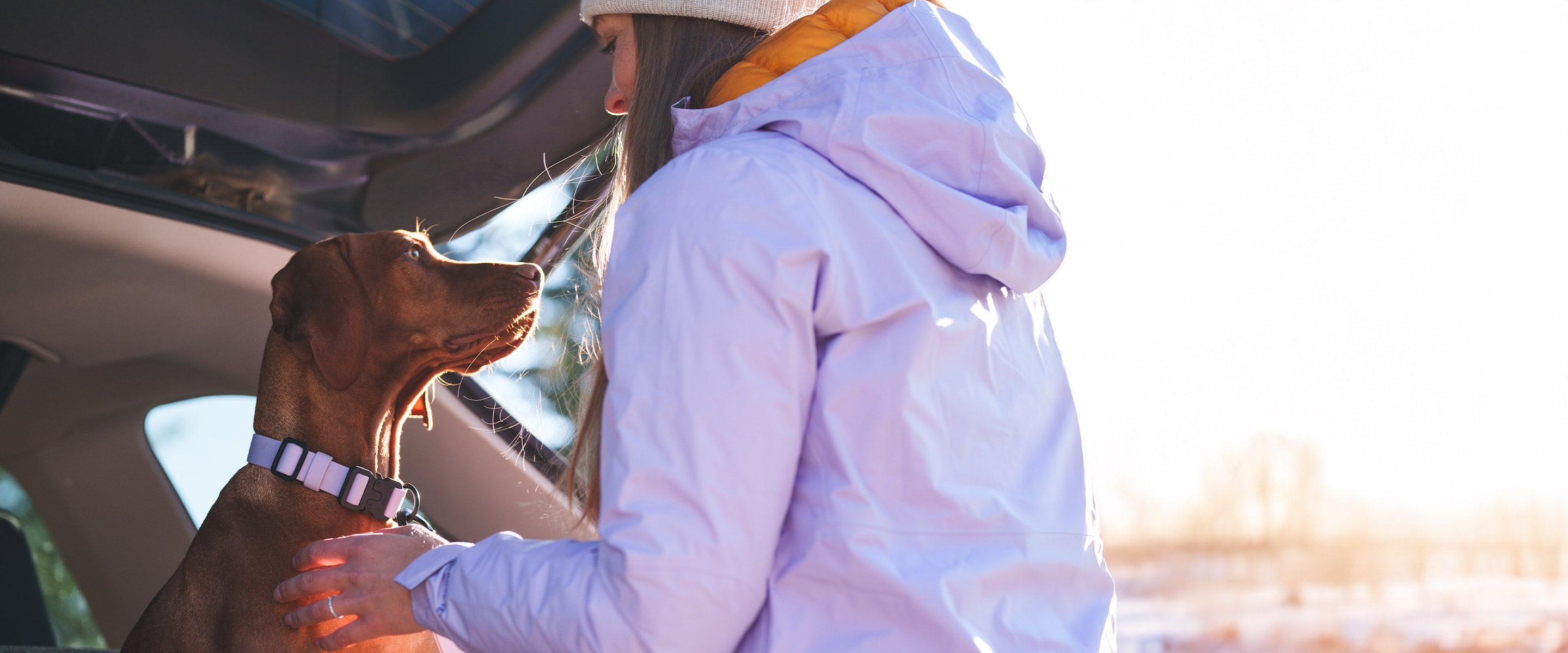 Woman petting her vizsla wearing the Kelp collar in Lilas