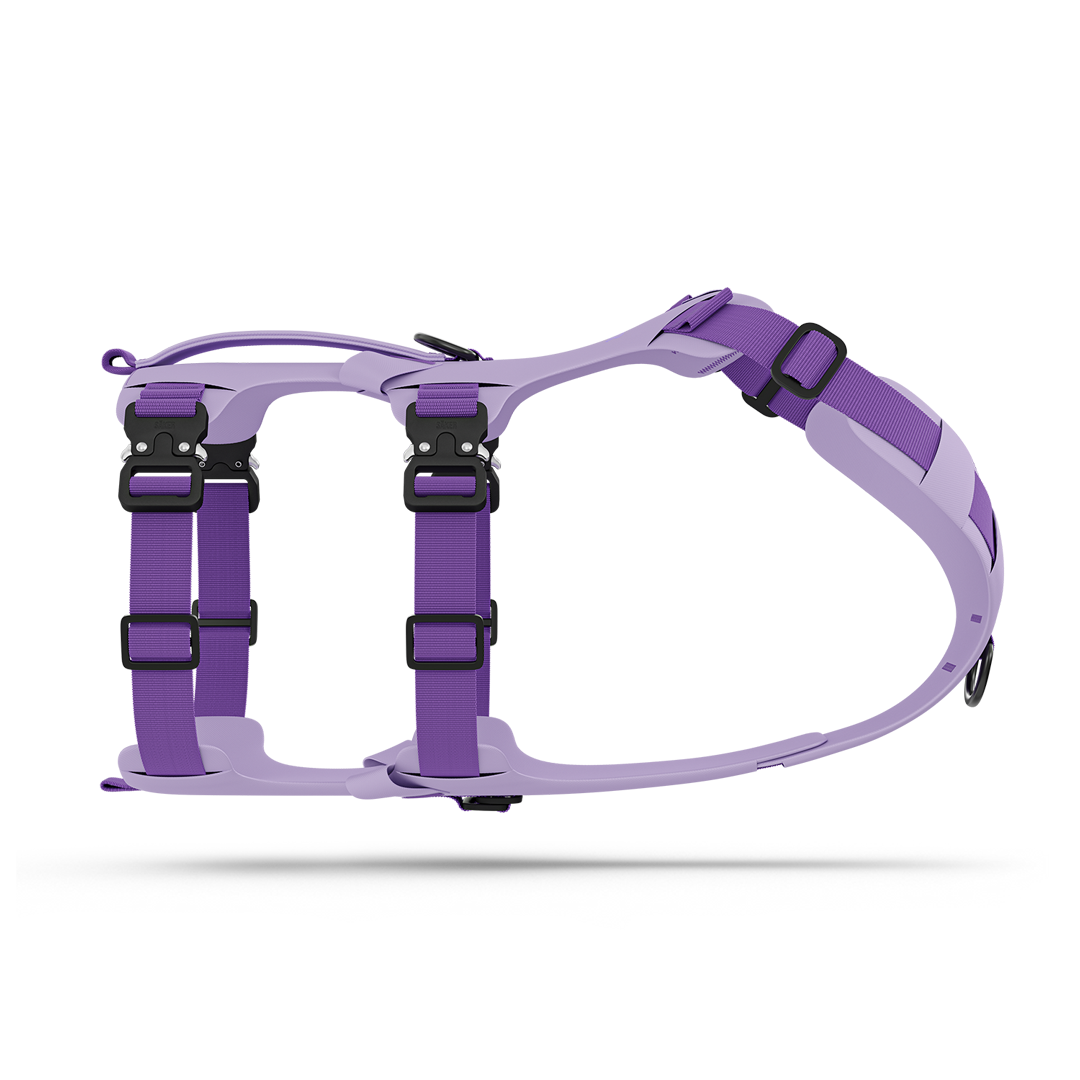 Side picture of the Lander harness in Lilas