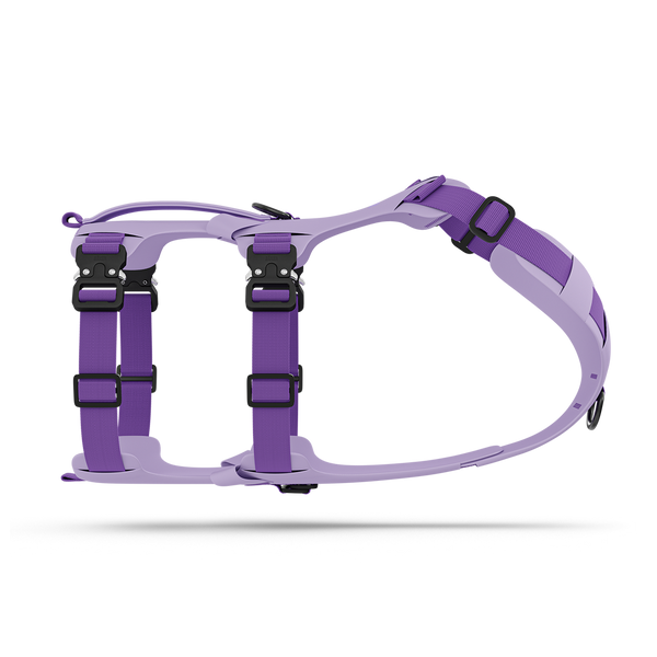 Her Praha ハープラハBack cross balted harness CONTOURED X-BACK HARNESS – wintersonsports