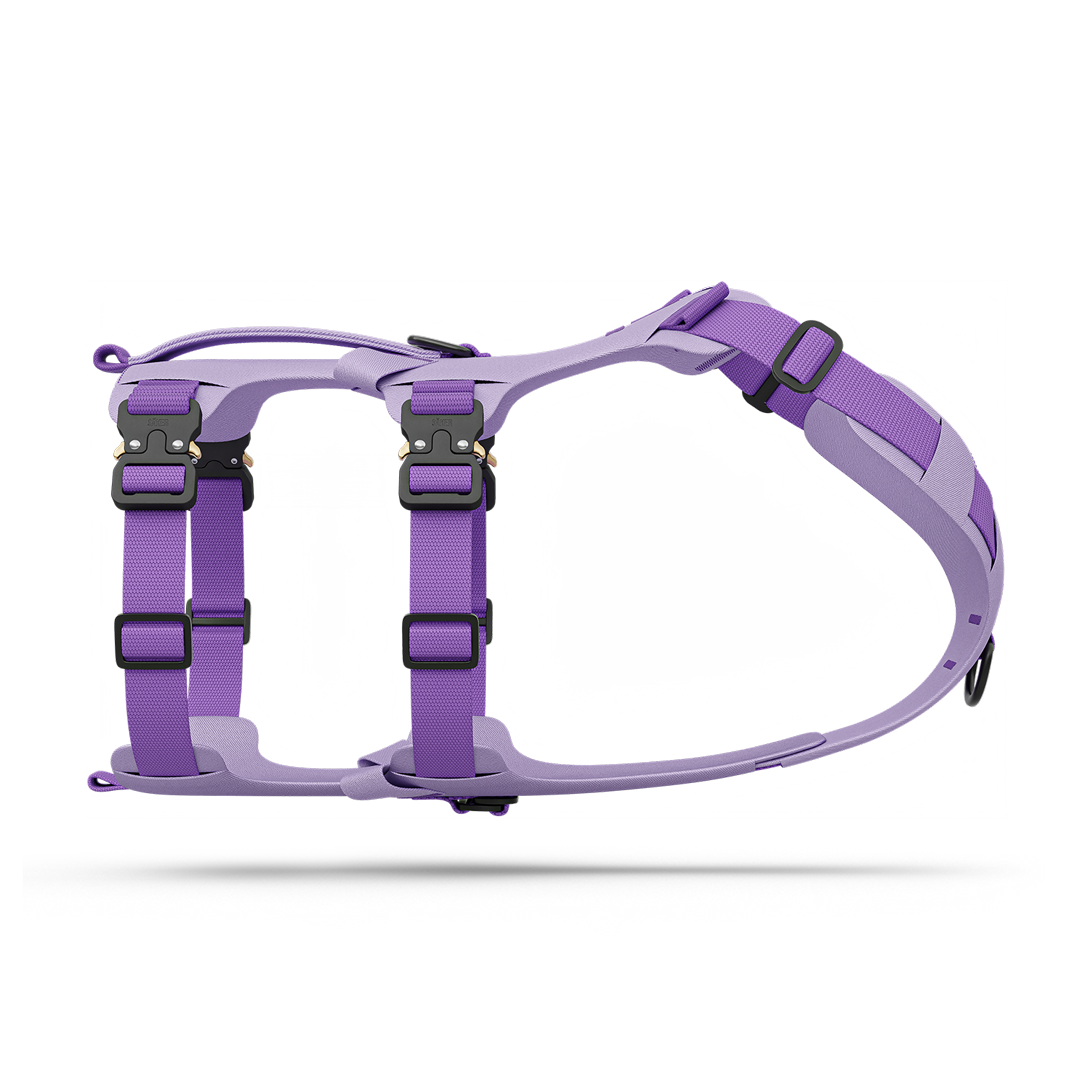 Side picture of the Bomber harness in Lilas