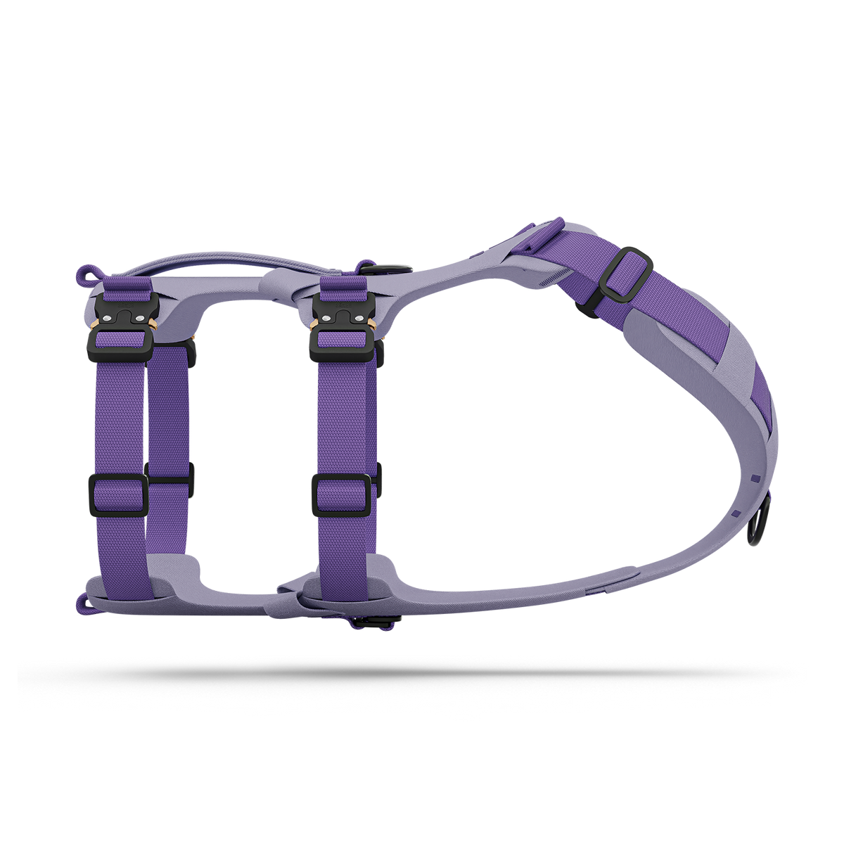 PIC_pl-2022_transparent-main-