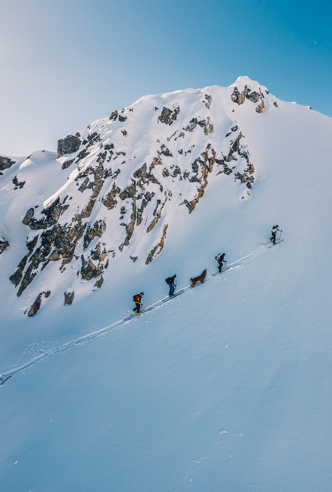 group of backcountry skiers with their dog wearing the Canyon Light extended in peak blue