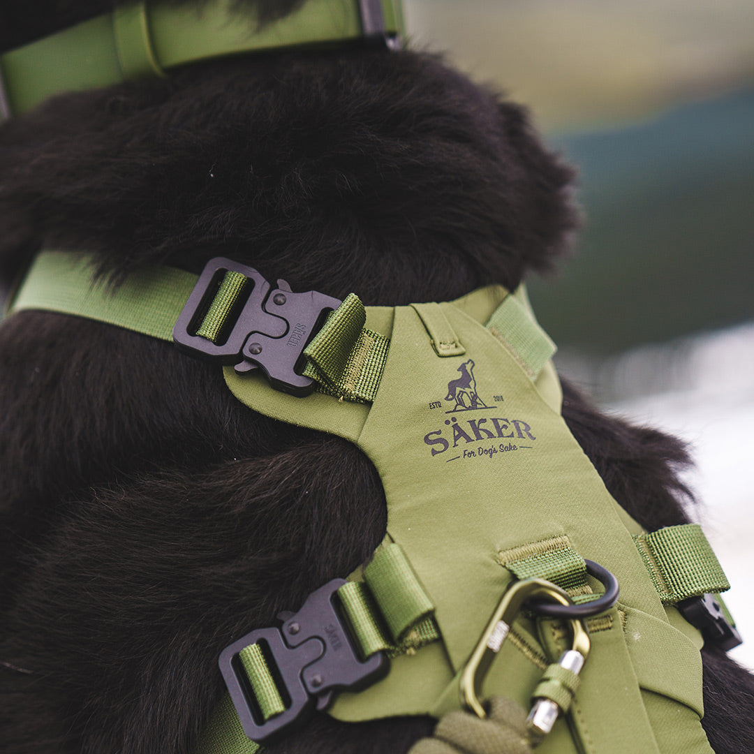 Close view of the neck buckle on the muse harness in trail green