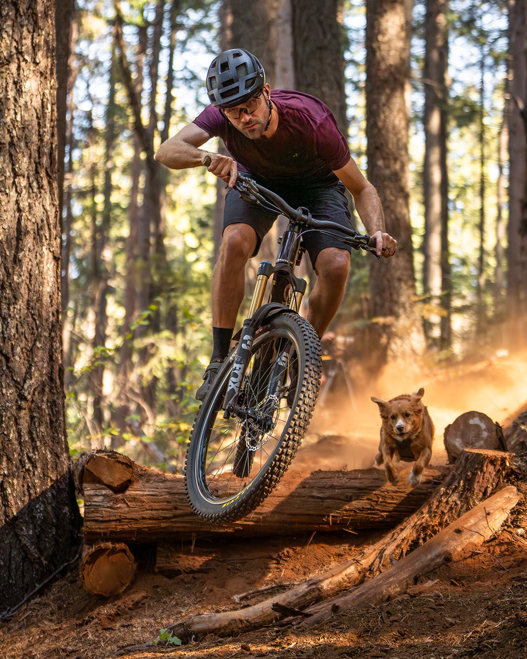 Mountain biker jumping while his toller follows right behind. His dog is wearing the Säker Muse harness in Trail Green