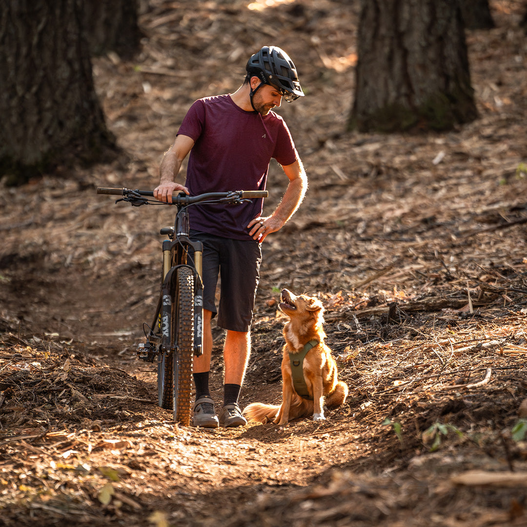 Zach, with his mtb, looking at his dog Maisey before going down the trail. His toller is wearing the Saker Muse harness in Trail Green