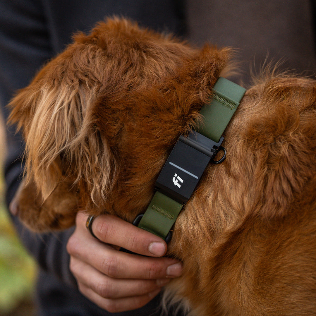 Close view of the fi tracker attachment on the Kelp collar