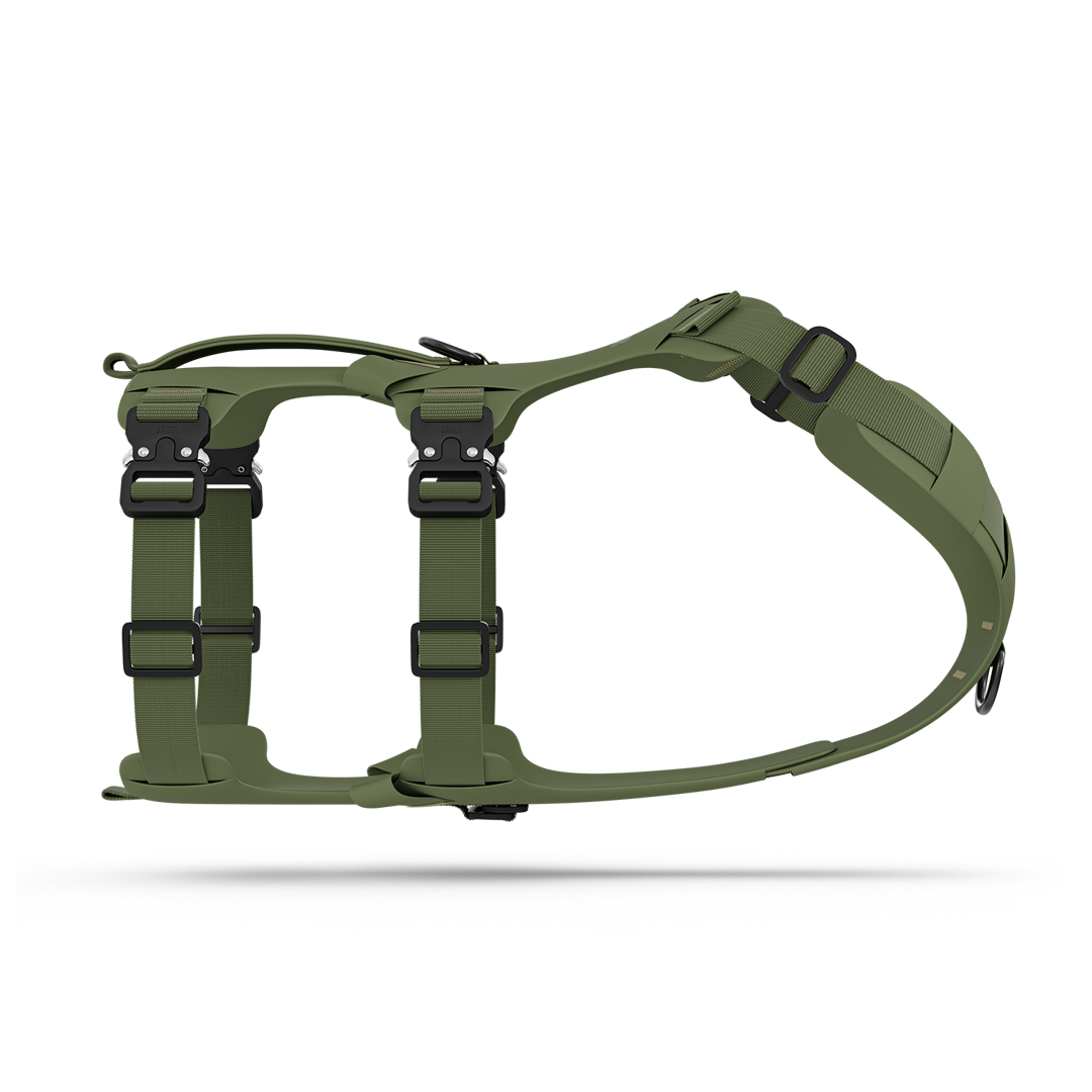 Side picture of the Lander harness in Trail Green