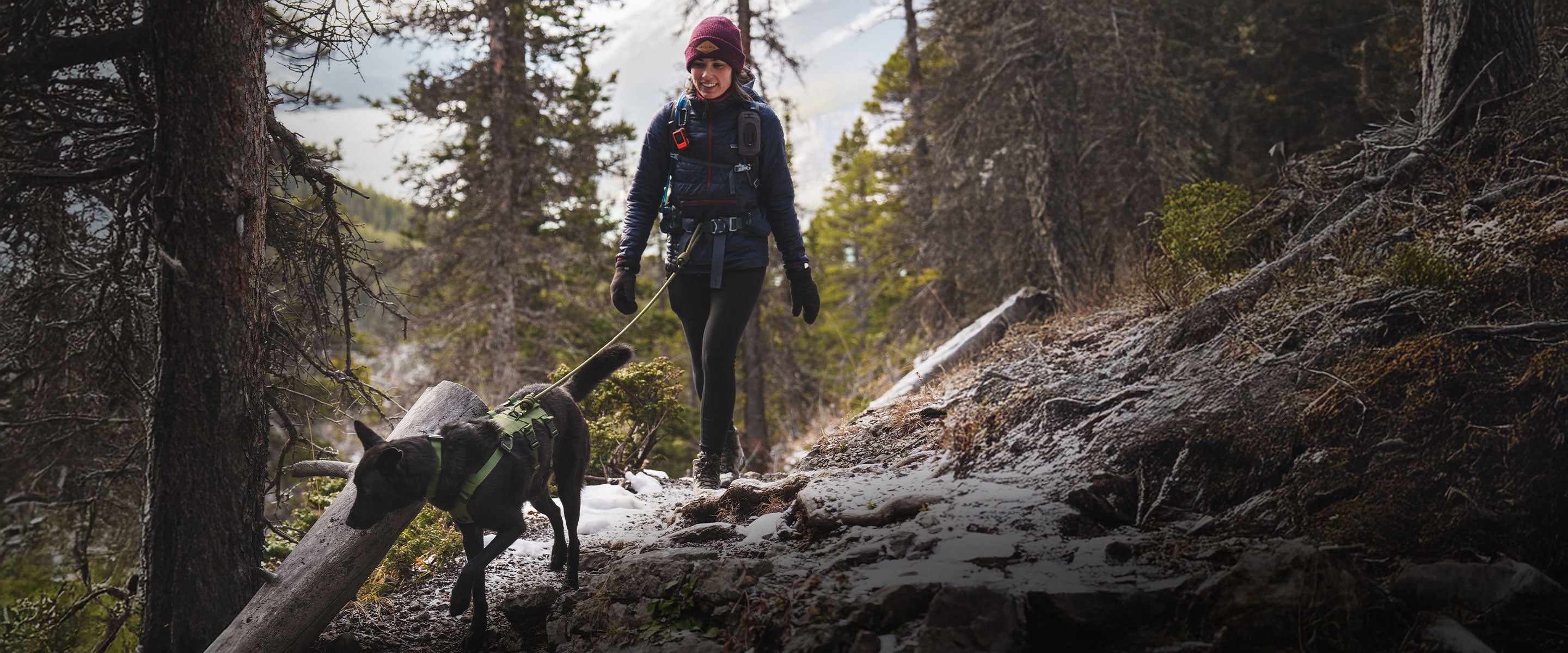 Woman hiking with her dog in Banff using the Trust leash in trail green color