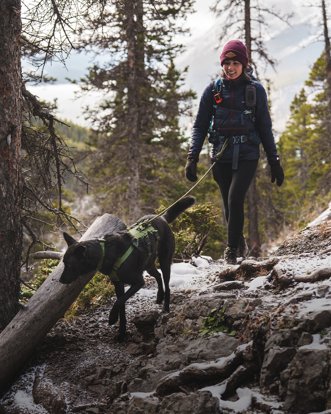 Woman hiking with her dog in Banff using the Trust leash in trail green color