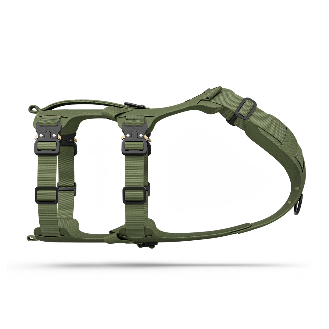 Side picture of the Bomber harness in Trail Green