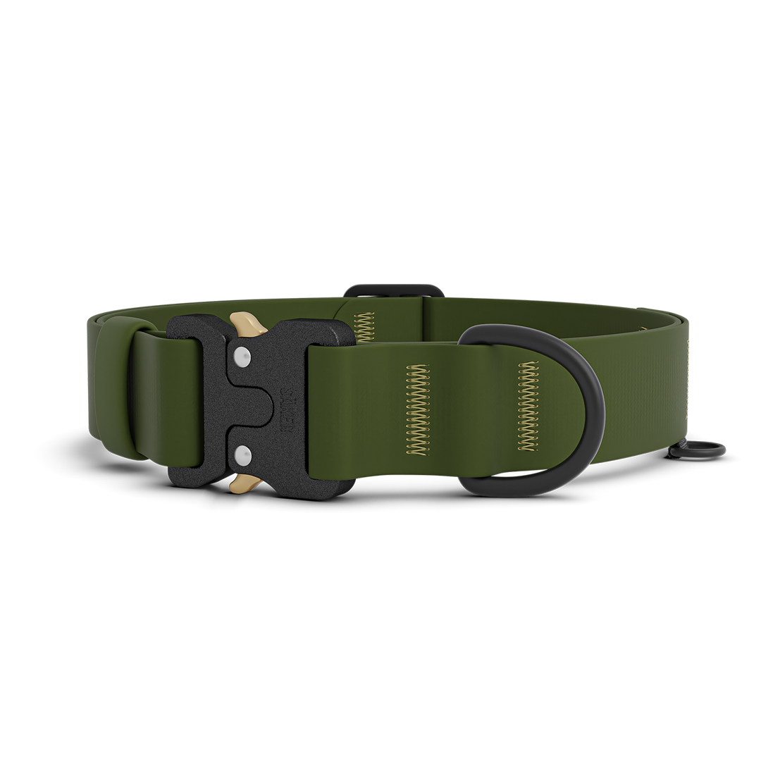 Collier Kelp Pro – Vert trail