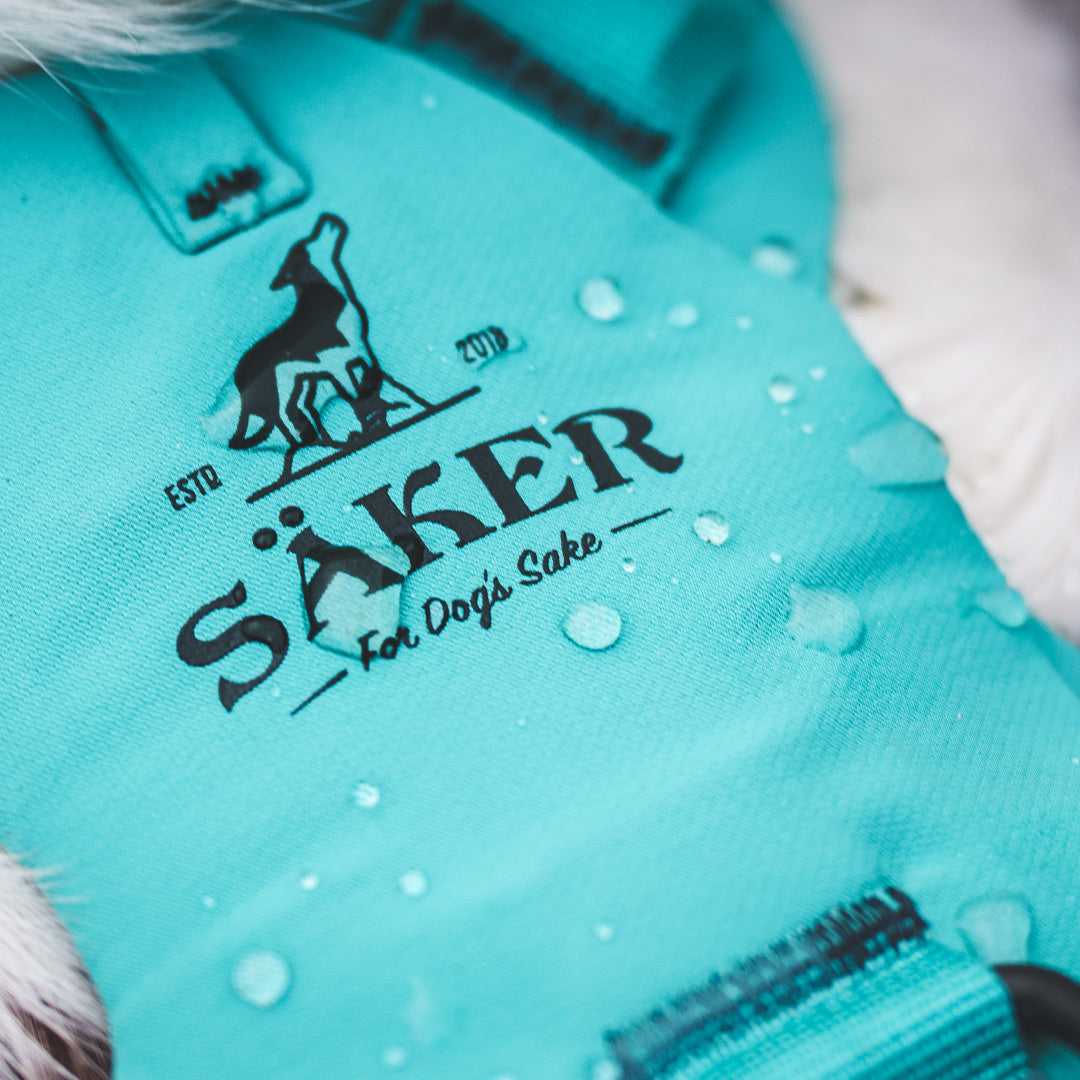 Close view of the Skeena teal muse harness with water droplets on it