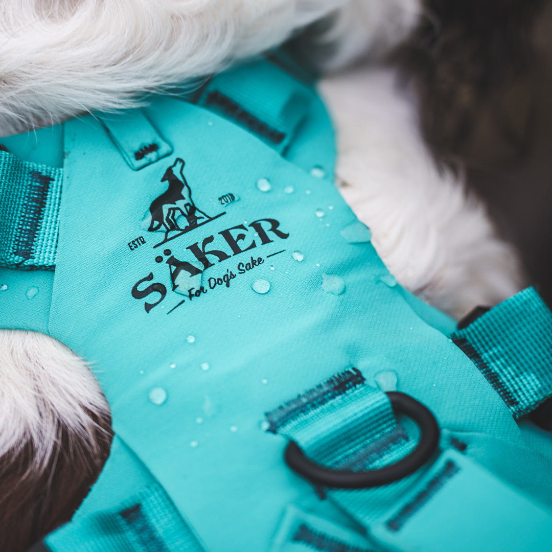 Close view of the Skeena teal muse harness with water droplets on it