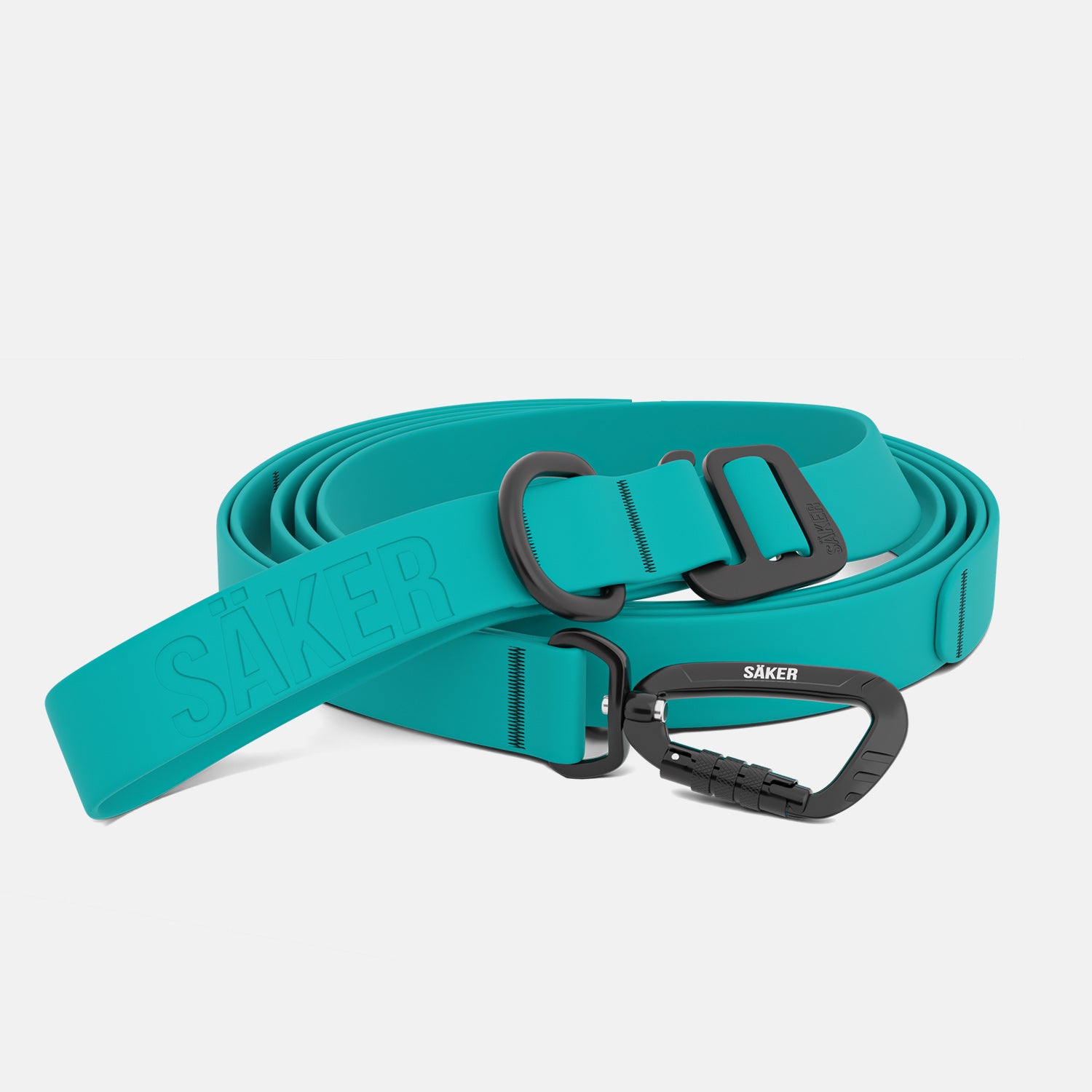 Front view of the Kelp™ leash in Skeena Teal