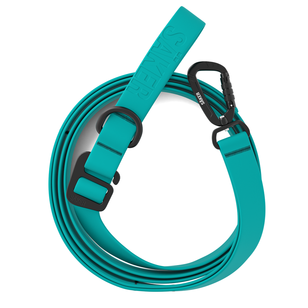 Top view of the Kelp™ leash in Skeena Teal