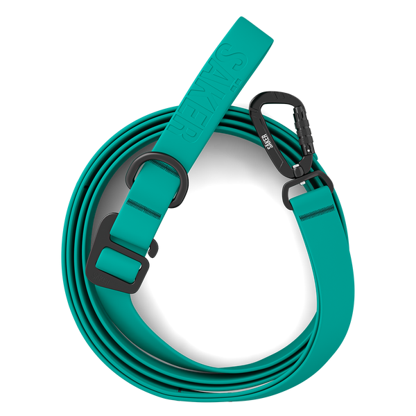 Top view of the Kelp™ leash in Skeena Teal