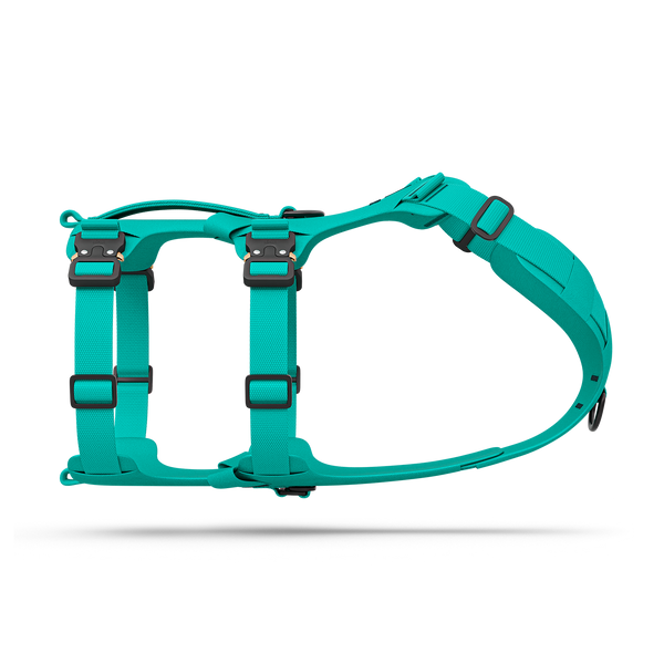 Side view of the Bomber harness in Skeena Teal color