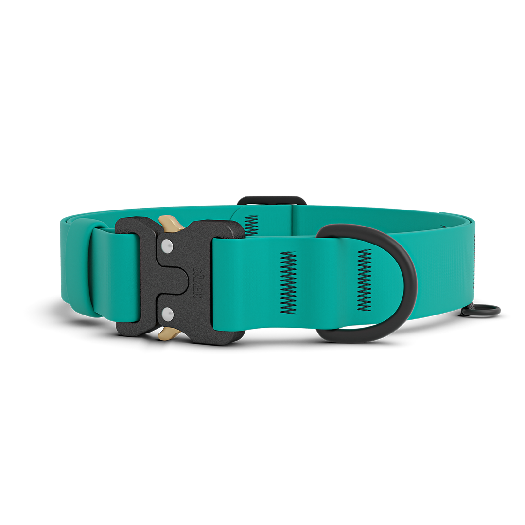 Collier Kelp Pro – Skeena Turquoise 